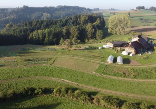 Landwirtschaftliche Praktiken für natürliche und ganzheitliche Lösungen in der Schweiz